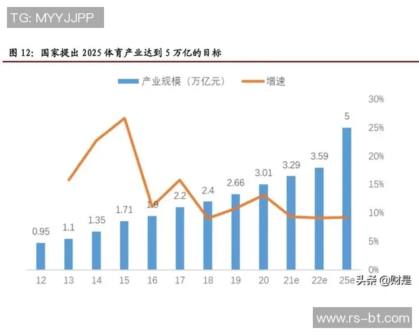 瓦伦西亚新加坡财团助力全球体育产业发展新机遇与挑战分析